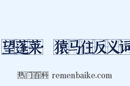 望蓬莱·猿马住反义词是什么意思的图片